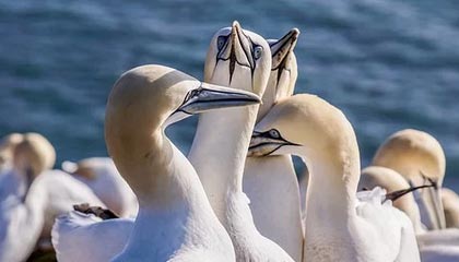 手游的魅力：在指尖开启的沉浸式世界